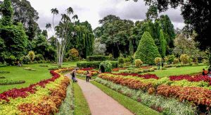 botanical-gardens