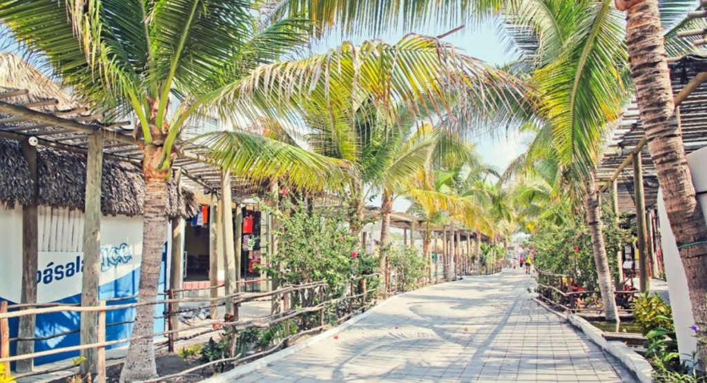 benefits-of-a-short-trip-to-monterrico