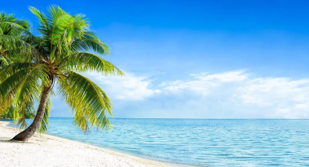 tips-for-the-best-beach-experience